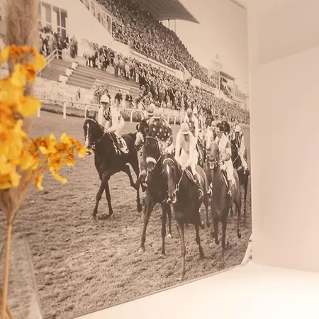 Spacious Penthouse For 8 People In The Centre Ostende